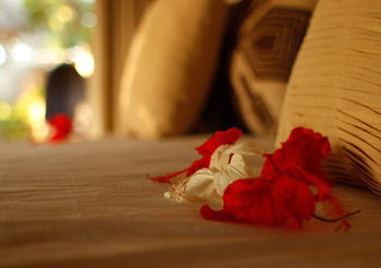 Stephanie Ocean Resort Malindi Extérieur photo
